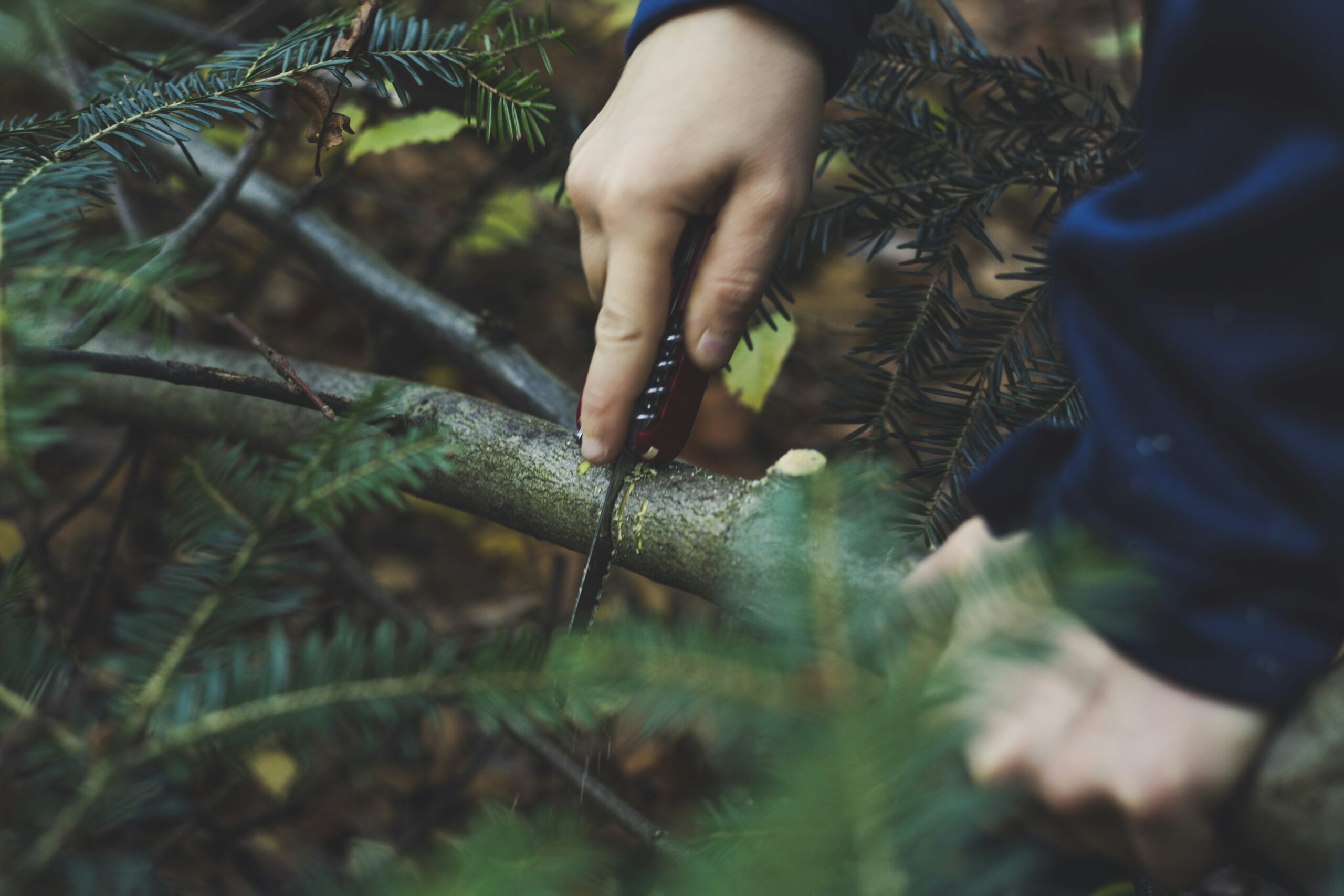 How Can I Practice And Improve My Survival Skills Regularly?