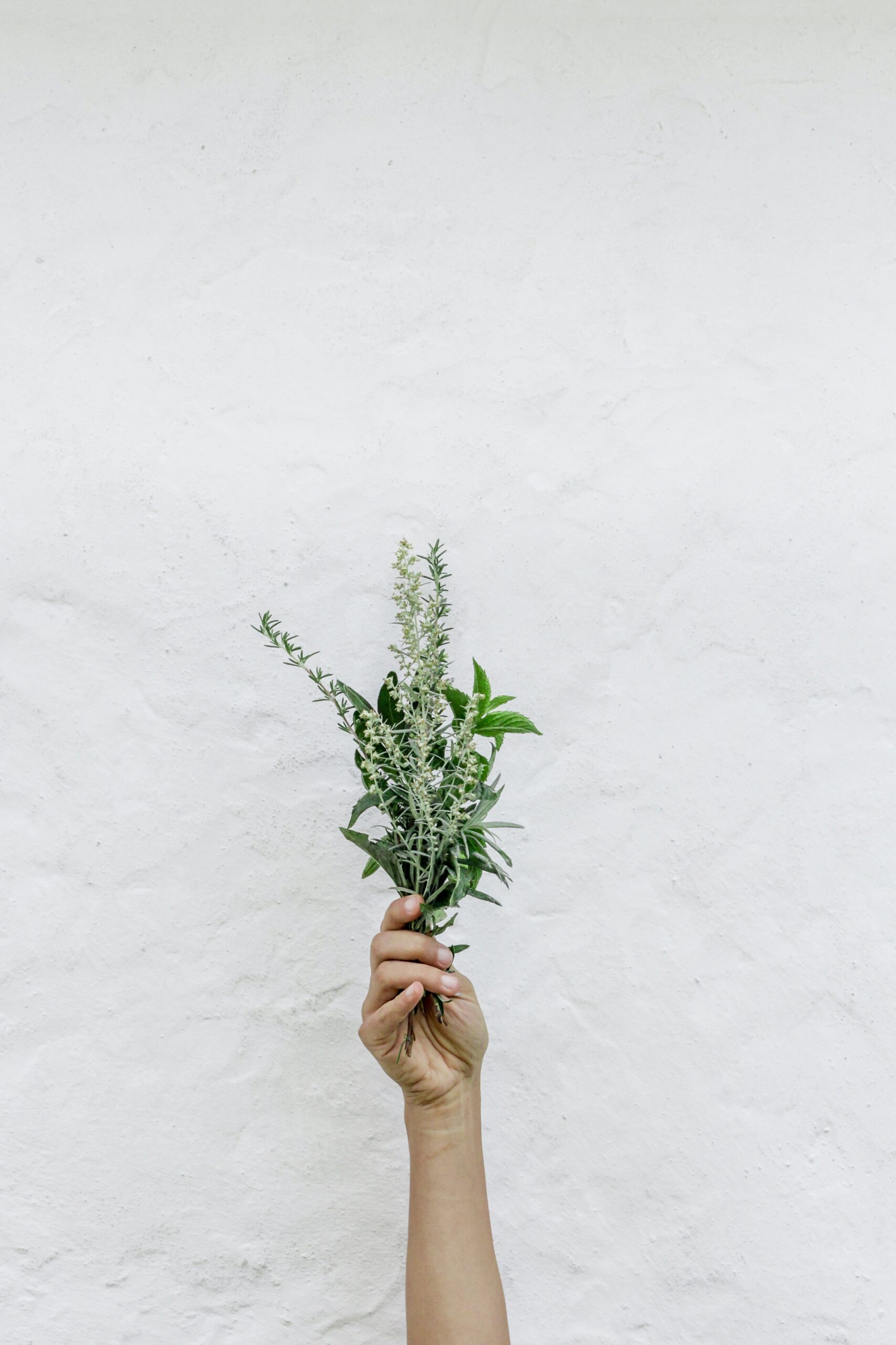 How Do I Maintain Mental Health During Prolonged Crises?
