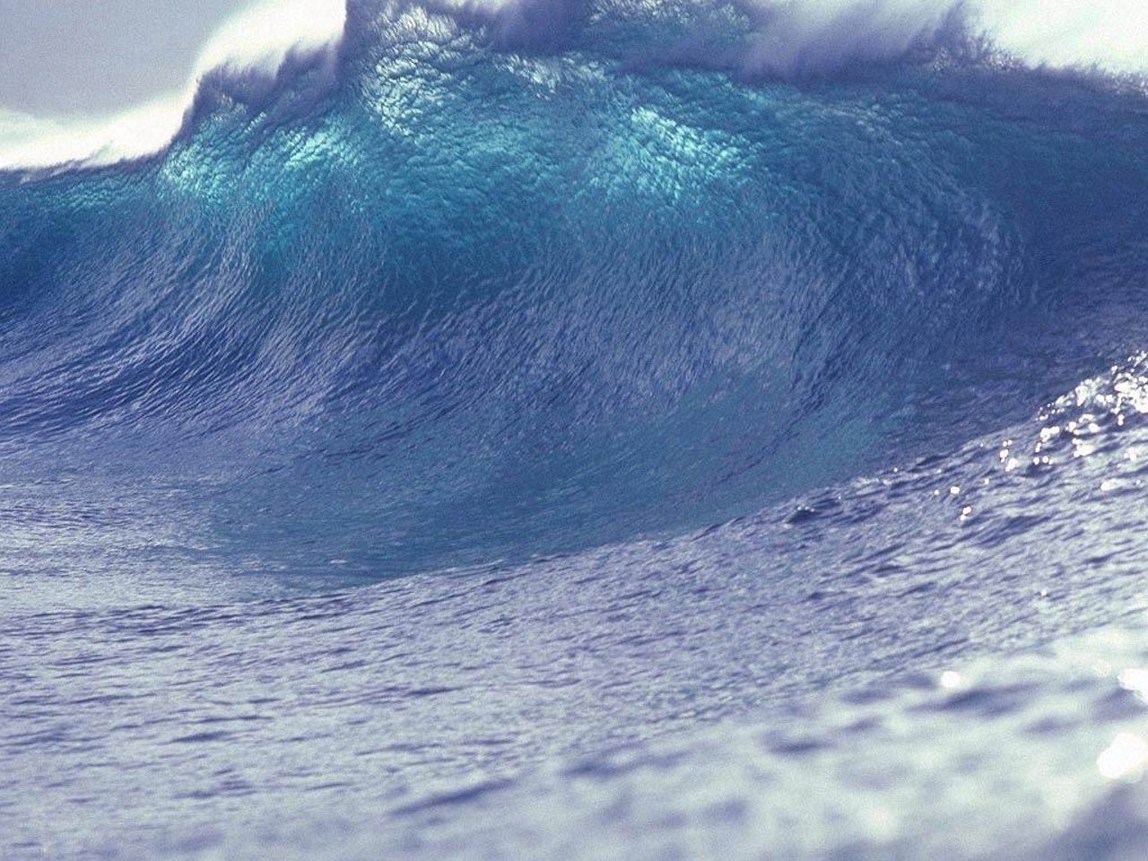 How Do I Recognize And Prepare For A Tsunami?