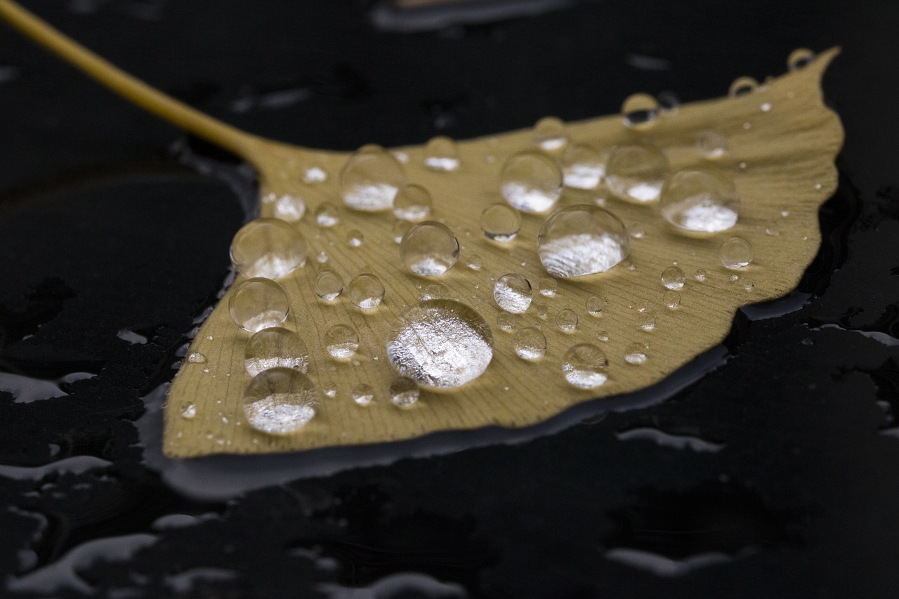 What Are The Most Efficient Ways To Collect Rainwater?