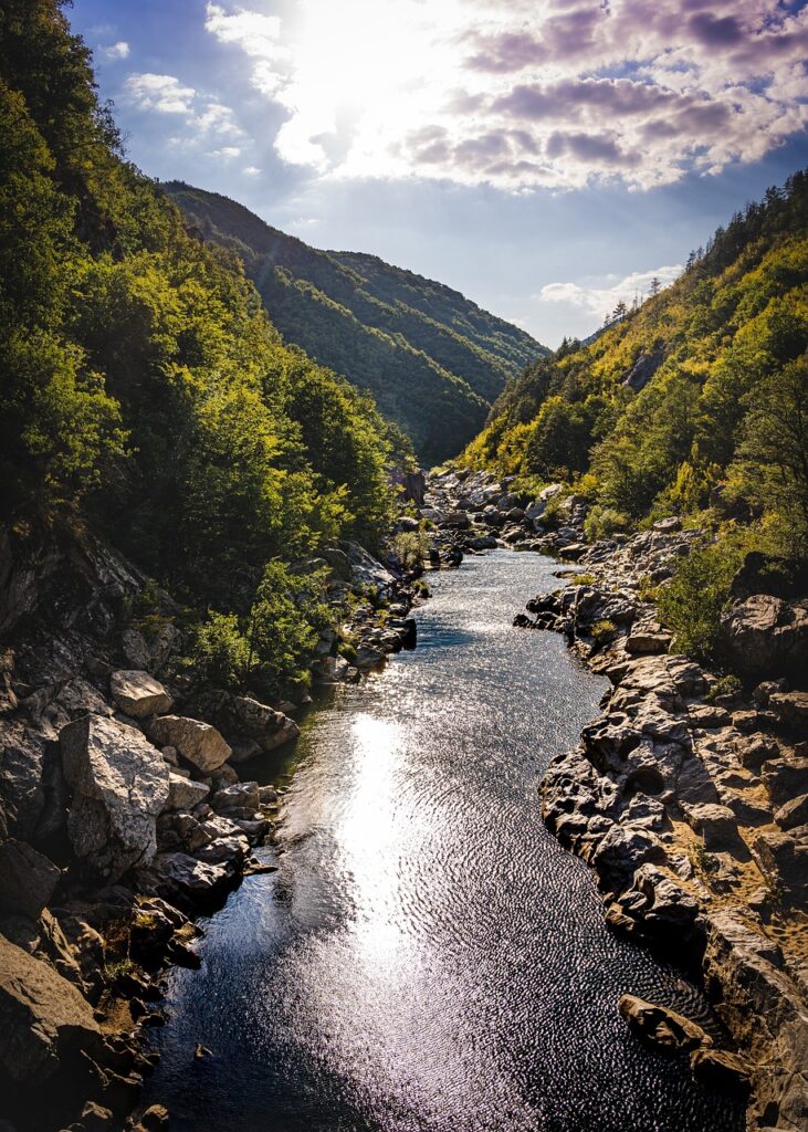 What Are The Key Tips For Surviving In The Wilderness?