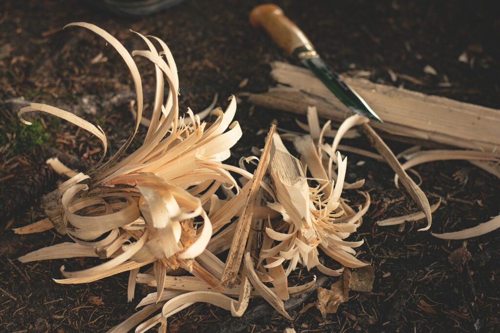 What Are The Key Tips For Surviving In The Wilderness?